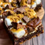 S'mores Brownies 16 S'mores Brownies