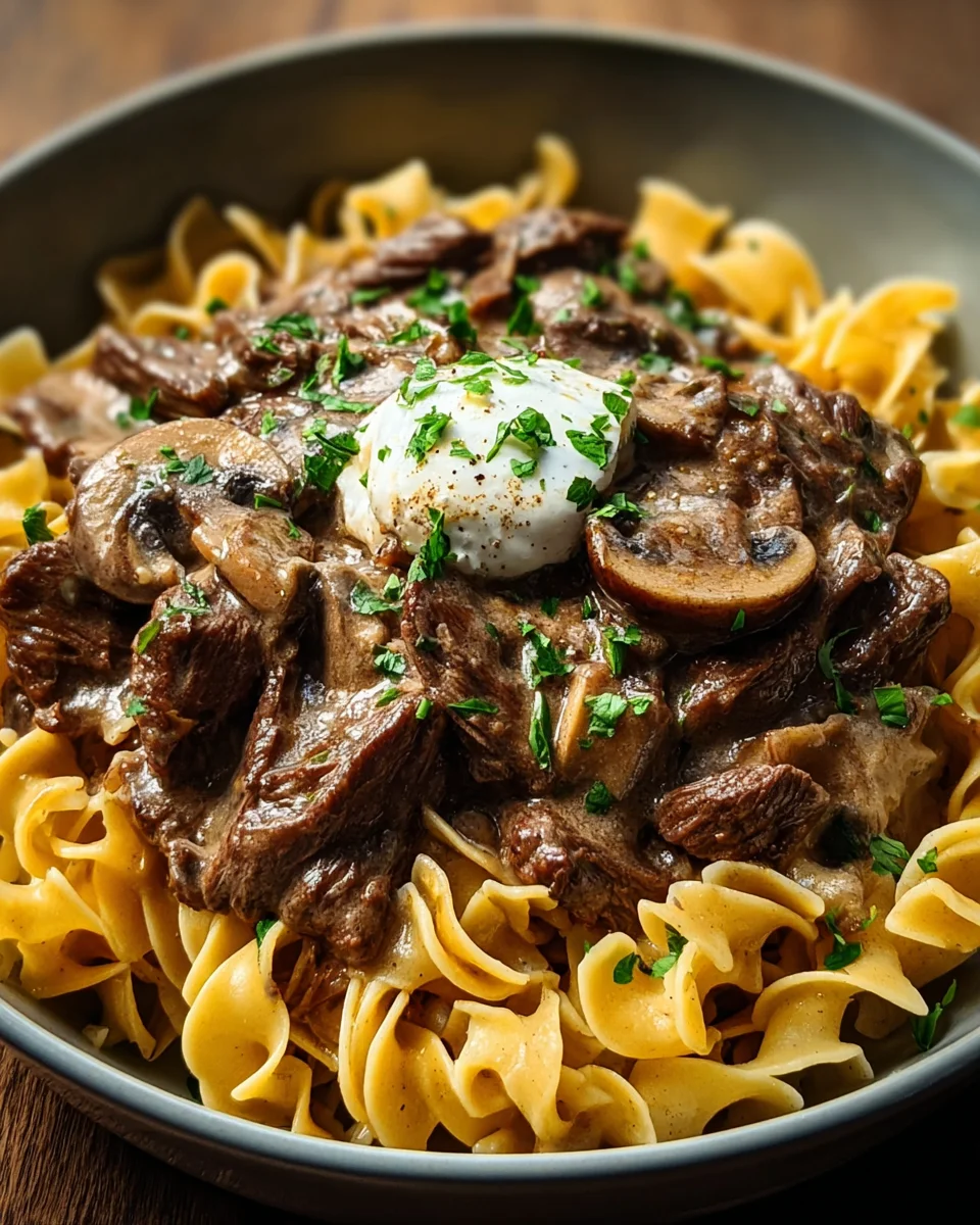 Beef Stroganoff with Egg Noodles 19 Beef